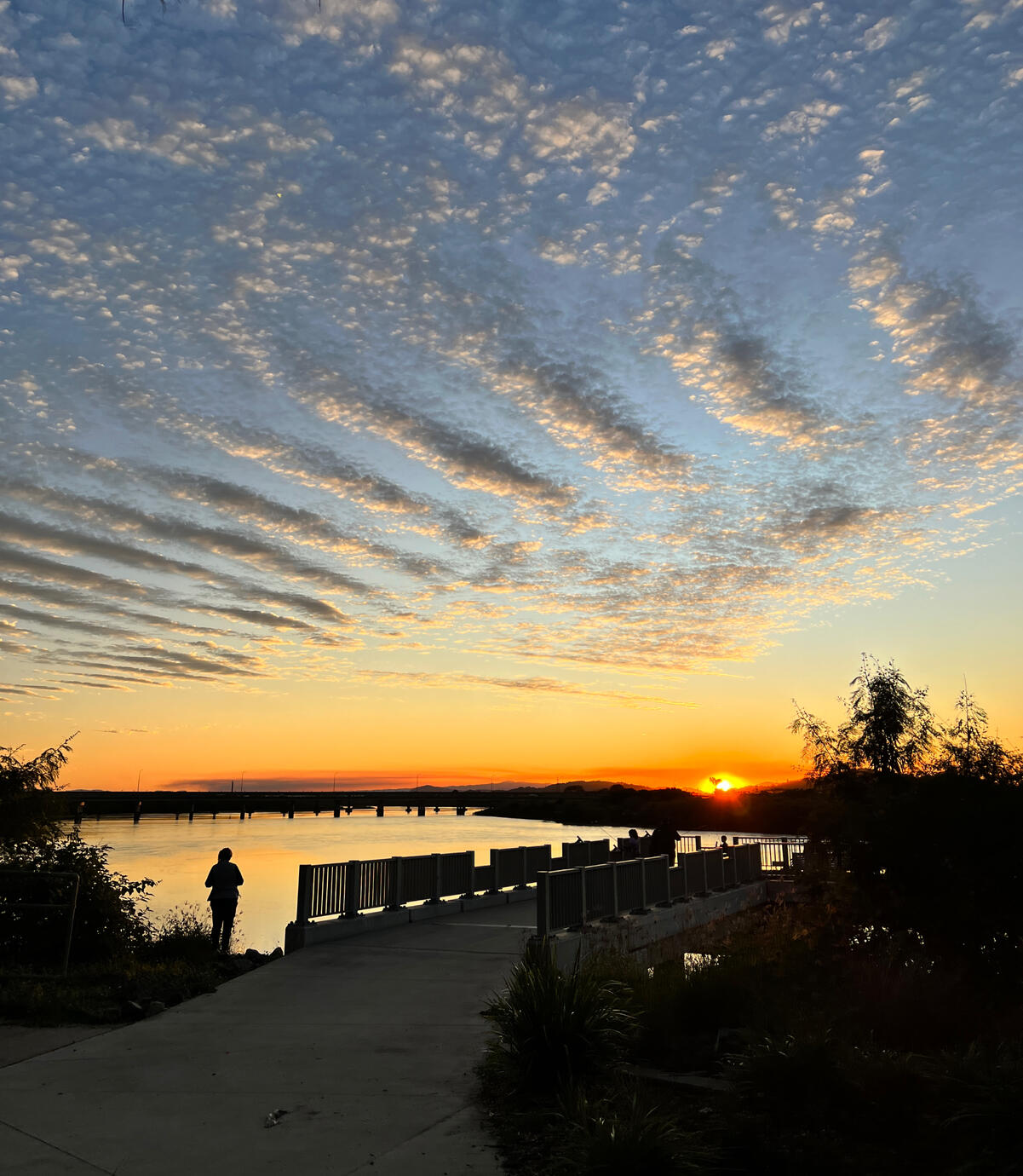 A Caregiver&#39;s Experience of Newly Diagnosed Cancer